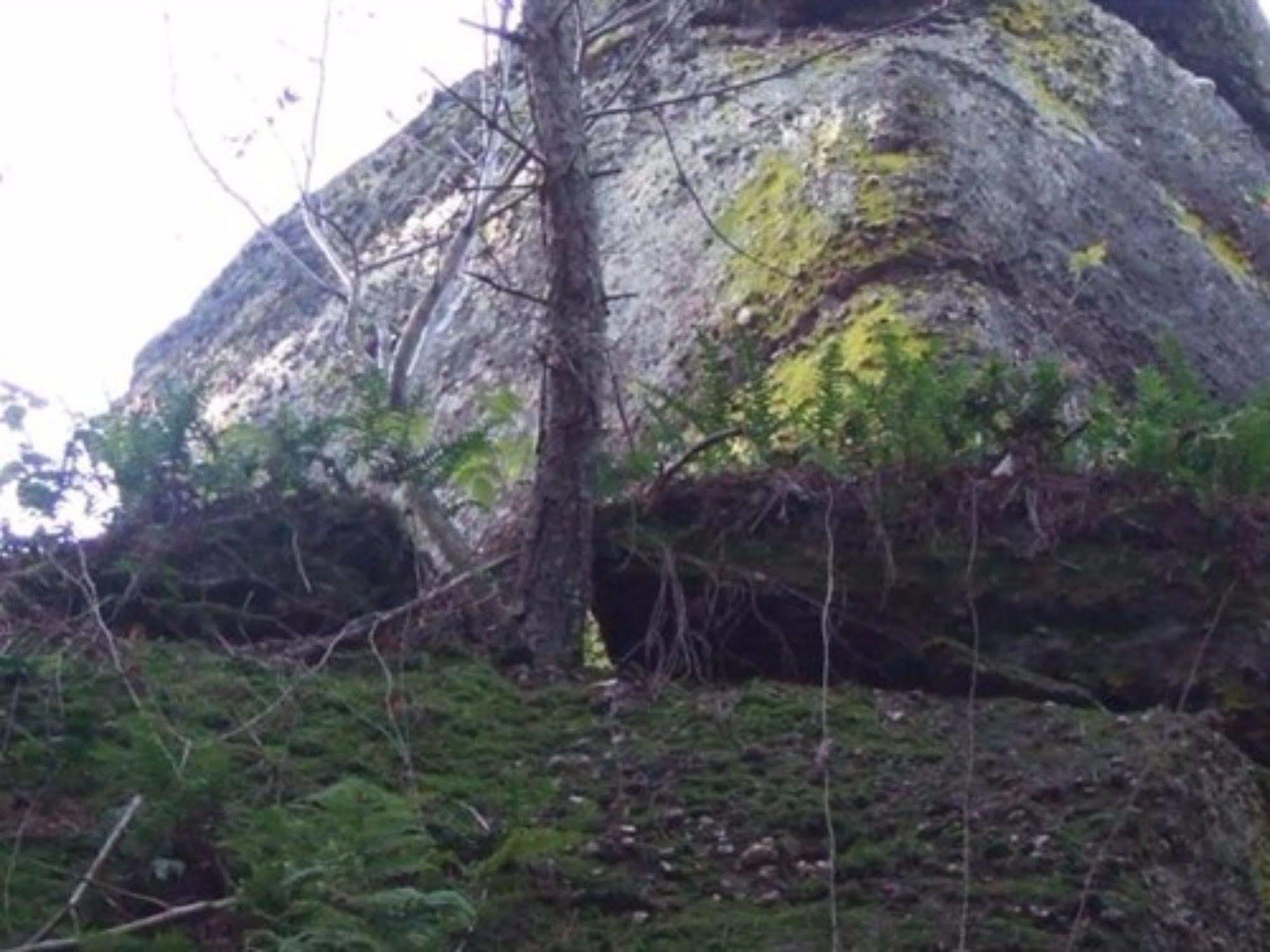 Auberge D'Hotes L'Instant Le Hohwald Exteriör bild