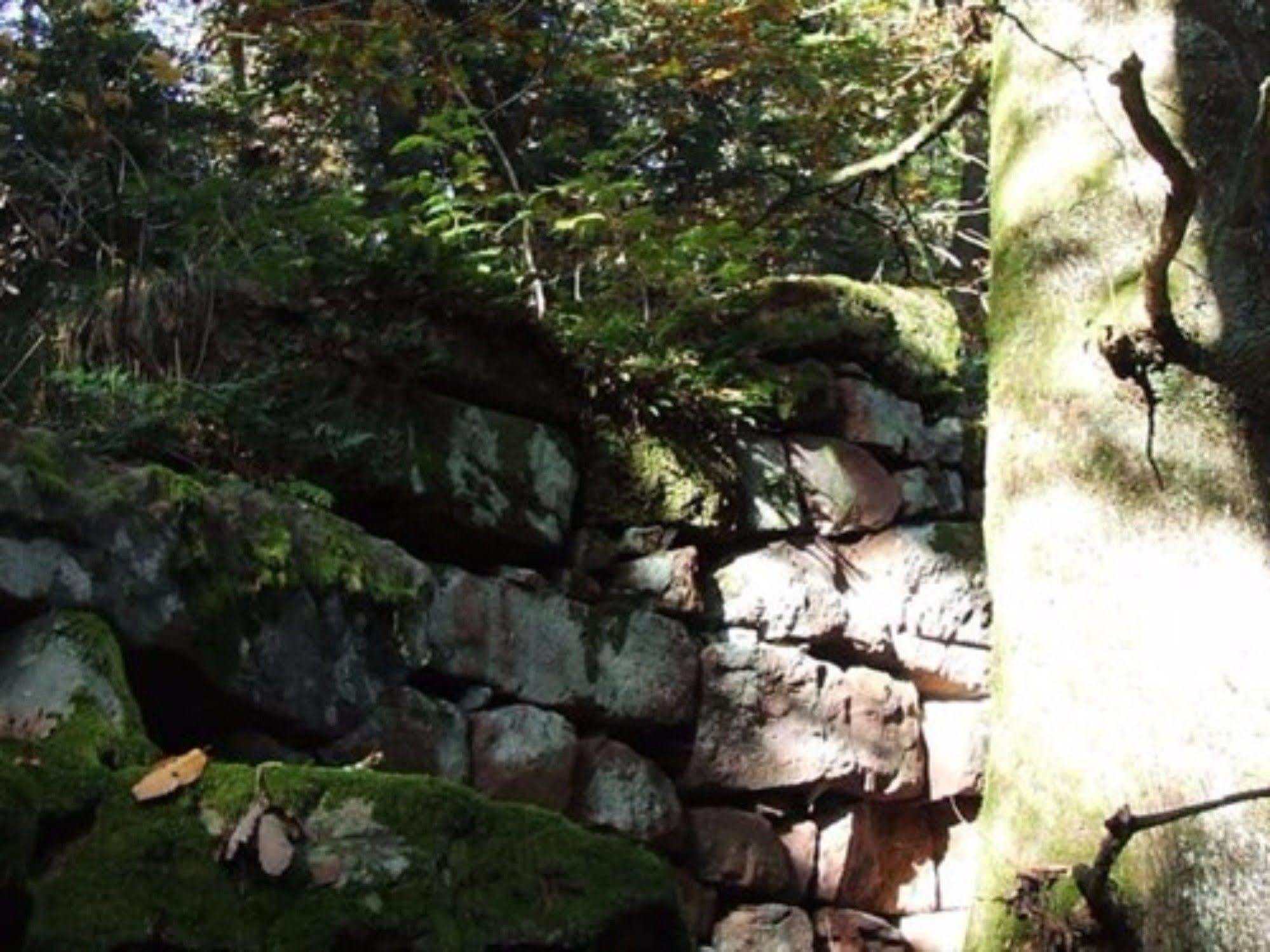 Auberge D'Hotes L'Instant Le Hohwald Exteriör bild